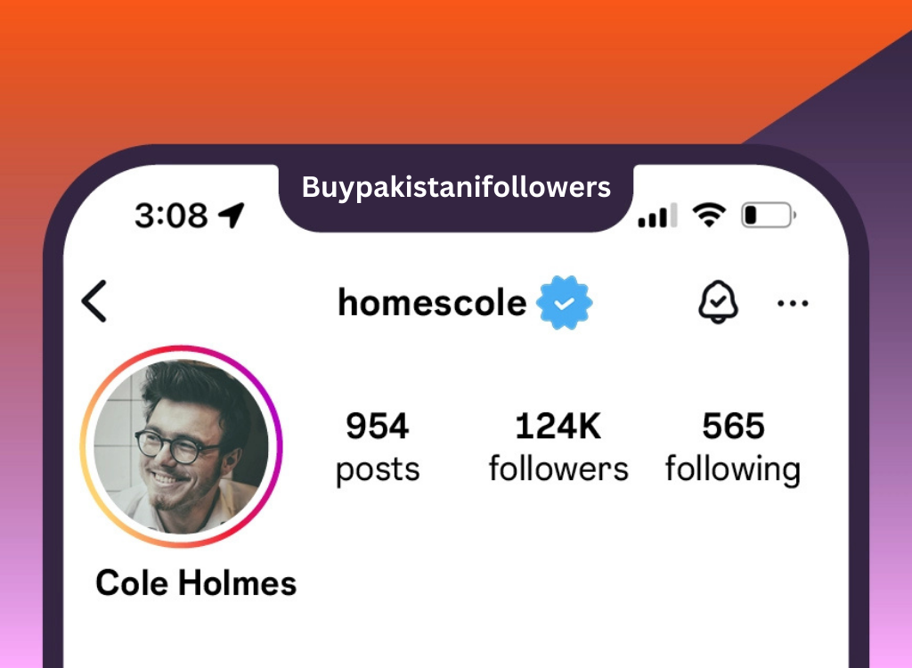 Getting verified with a blue tick on Instagram and Meta in 2025